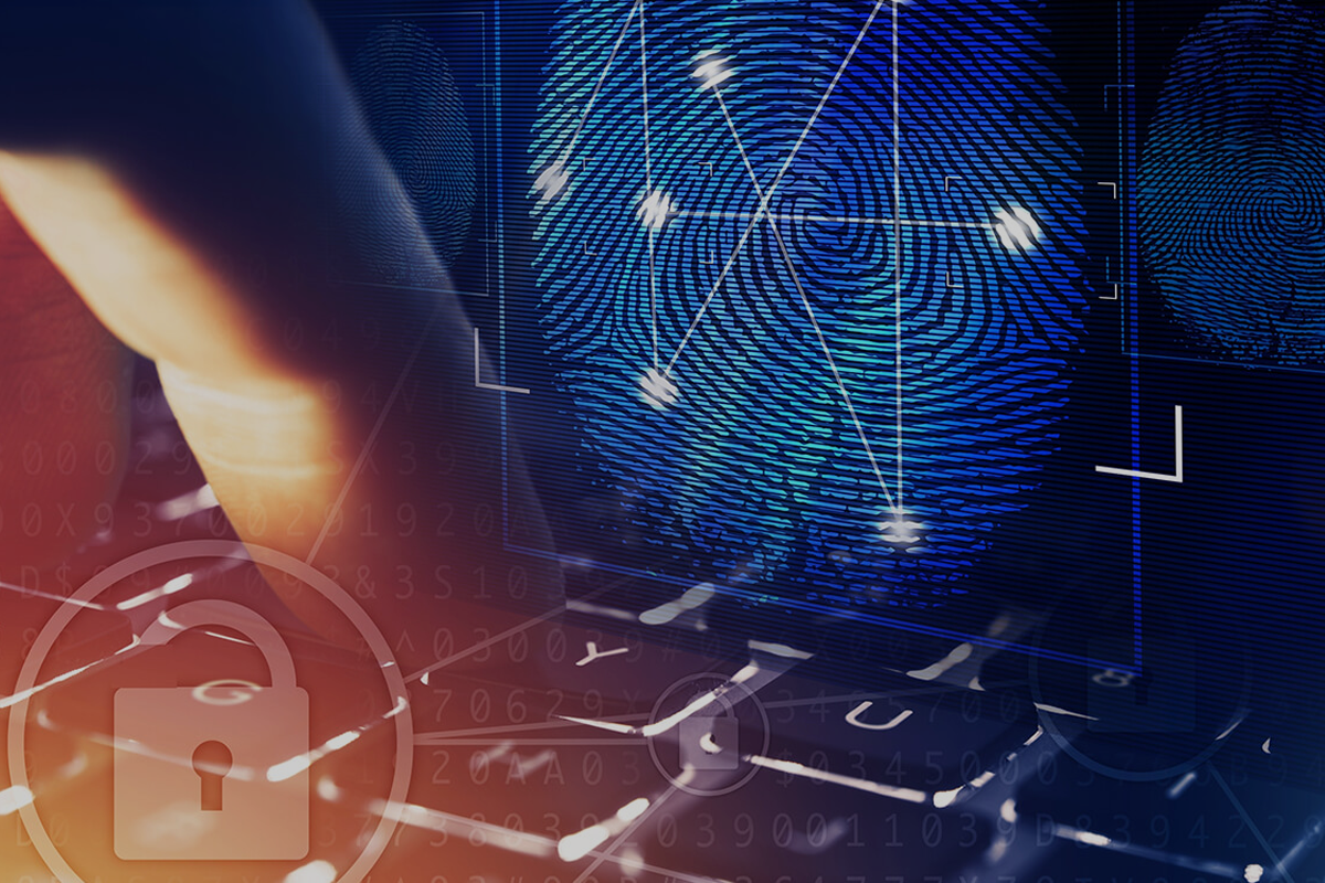 Mastering Digital Forensics Bundle Indiastore