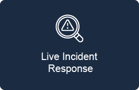 53538eb3-skill-icon-02_1000000000000000000028