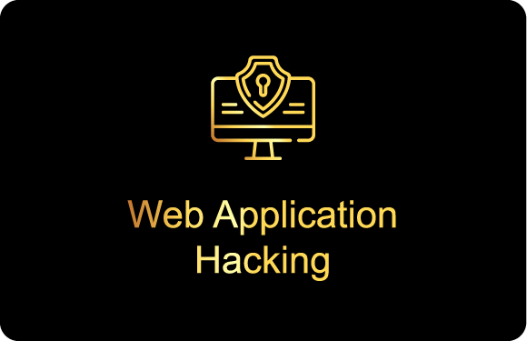 web_hacking